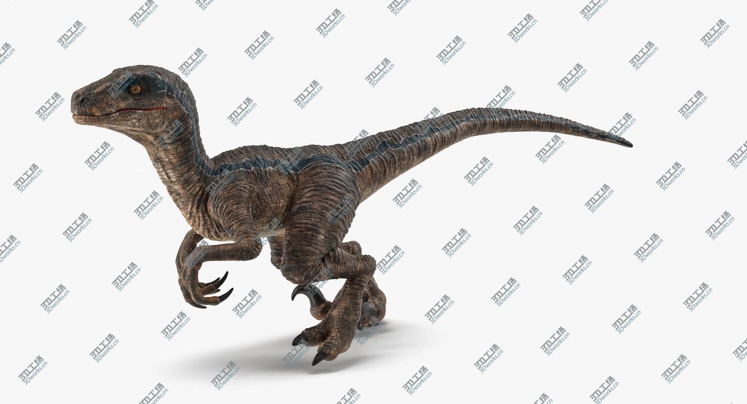 images/goods_img/2021040161/3D Velociraptor Walking Pose 3D Model/3.jpg
